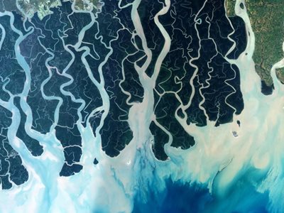 Forest of Tides: The Sundarbans