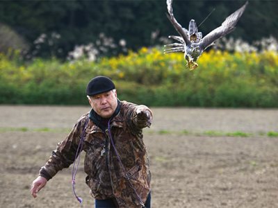 Rites of Flight: Falconry in Japan