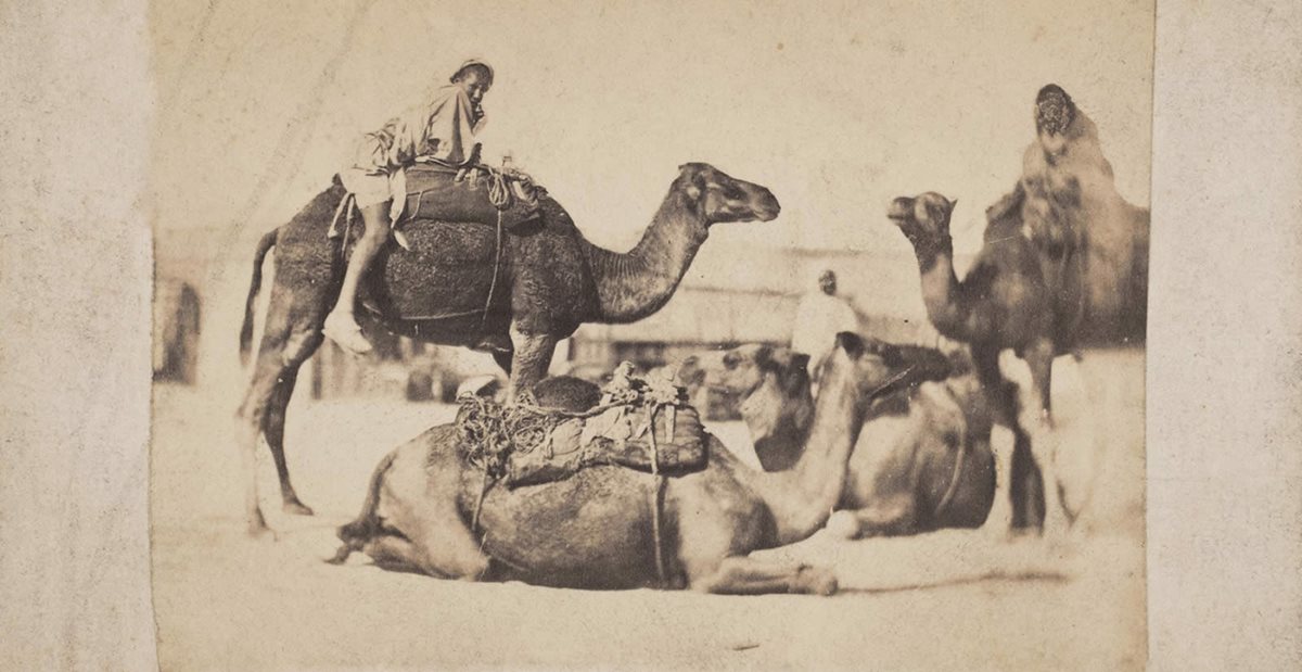 Camel Saddles- AramcoWorld - AramcoWorld