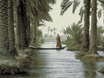 The Marsh Arabs Revisited
