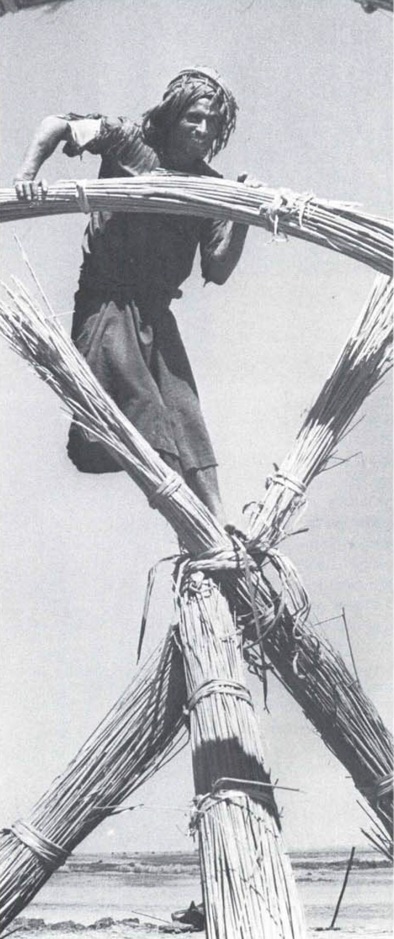 Marsh tribesman building with reeds.