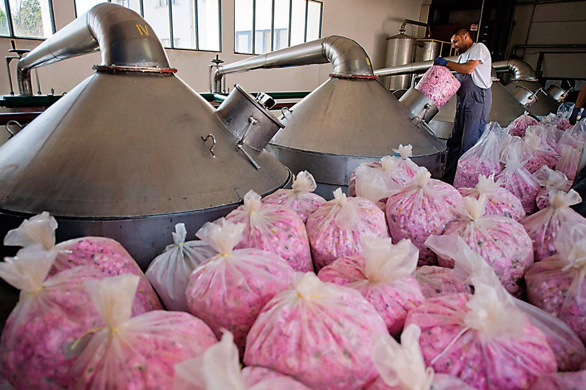 From the fields to the distillery, bags of rose petals are unloaded into mixers that begin the distillation process, such as these in the village of Gurkovo. right Rose-infused soaps, perfumes, lotions, and other souvenirs highlight the commercial uses of rose oils and waters at the shop for tourists at the Museum of Roses in Kazanlak.
