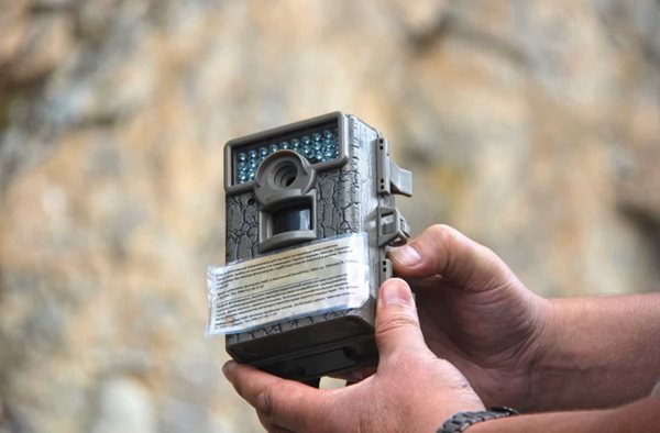 Sturdy and weatherproof, camera traps are placed in the mountains for months at a time.