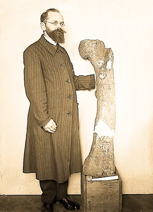 <p>German paleontologist Ernst Freiherr [Baron] Stromer von Reichenbach posed with this fossil bone, attributed to a <em>Bahariasaurus</em>, after his expedition to Egypt in the early 1900s&mdash;when he also discovered the first fossilized remains of <em>Spinosaurus</em>.</p>
