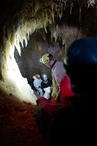 In Lebanon, Human Link cofounder Ghazi Kayali leads a search in a fruit bat cave, looking for bats that may carry the novel coronavirus.