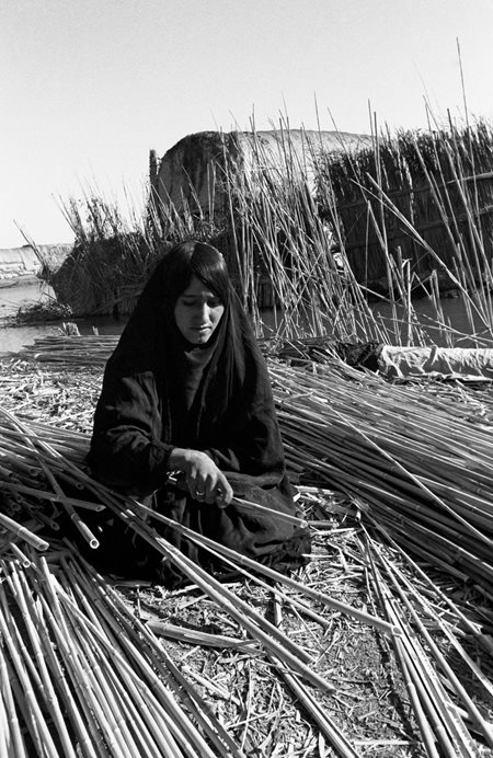 Woman amongst the reeds.