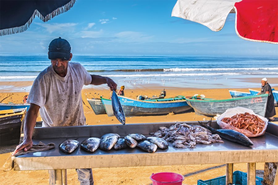 <p>Historically a fishing village and a producer of argan oil, Taghazout has added surfing and tourism to its economy over the past 50 years. Here, at the Taghazout beach, the daily catch is sold as waves await the day’s riders.</p>