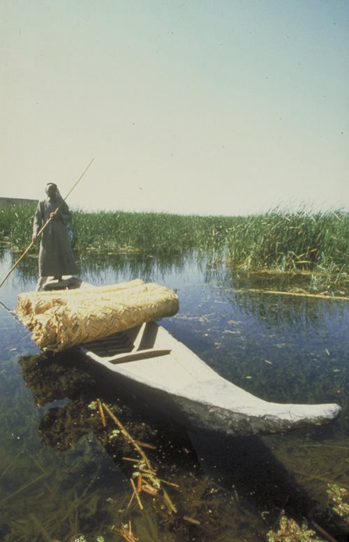A lone man poles a bundled cargo through the marsh.