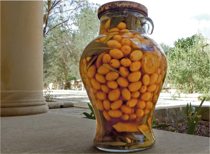 Olives, and olive oil, are best preserved when shielded from light. Soon after this photograph was made, Cremona returned this jar packed with white olives to a dark storage cabinet.
