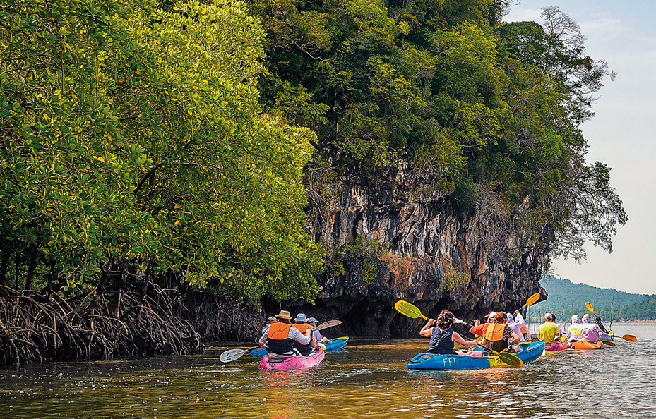 A group of recreation kayakers get a closer view of mangrove tree roots sinking into the water while paddling in Krabi, Thailand.