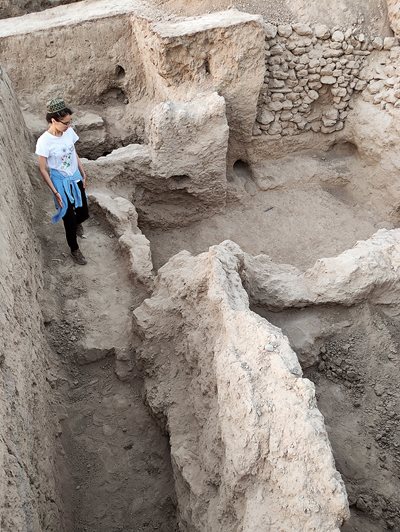 At this site in Penjikent, Tajikistan, archeologists in 2021 and 2022 recovered more than 3,000 seeds from ashy layers, hearths and trash pits.