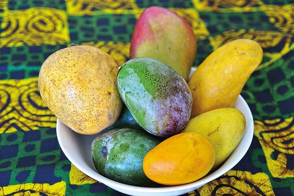 There are many types of mangos, each with unique flavors and sweetness levels and they come in a variety of colors, shapes and sizes. 