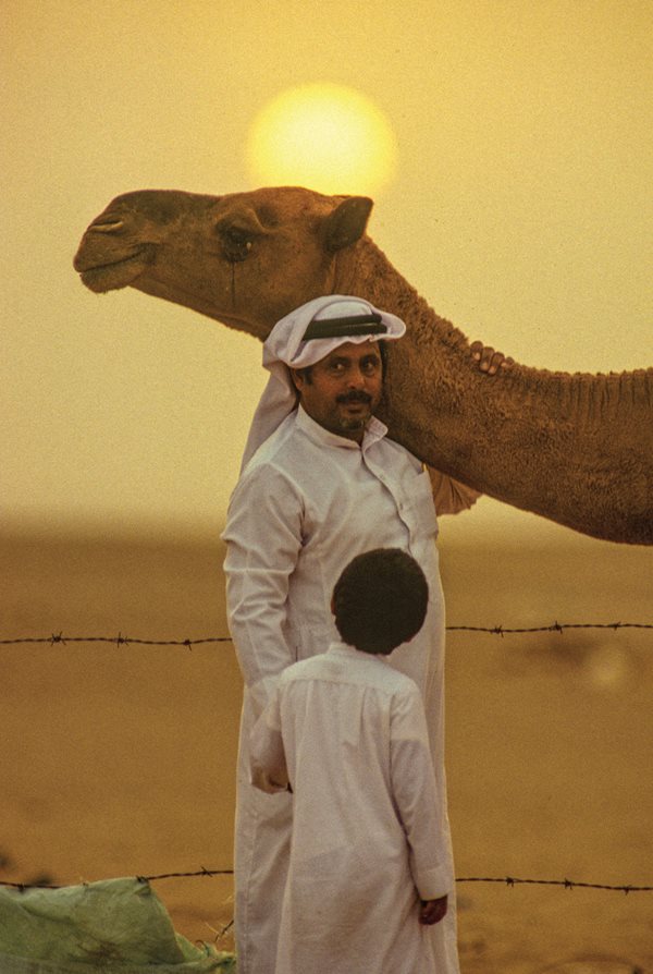 A camel owner stands with his son and camel near Riyadh, Saudi Arabia. Camels are so deeply central to cultures from North Africa to Central Asia that 19th-century orientalist Joseph Freiherr von Hammer-Purgstall recorded 5,774 Arabic words related to camels.&nbsp;