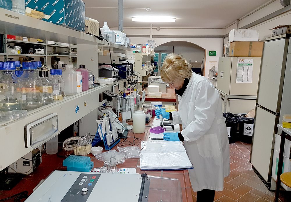 At the Institute of Agro-environmental and Forest Biology in Italy, Maria Emilia Malvolti studies genetic samples of walnuts from across Asia.