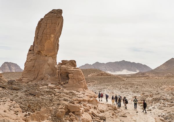 Built by guides from three Bedouin tribes with backing from <span class="smallcaps">ngo</span>s and help from local volunteers, the 250-kilometer, sea-to-summit Sinai Trail offers hikers a new way to experience the southern Sinai Peninsula. To residents it offers a path to rejuvenate an ailing economy.