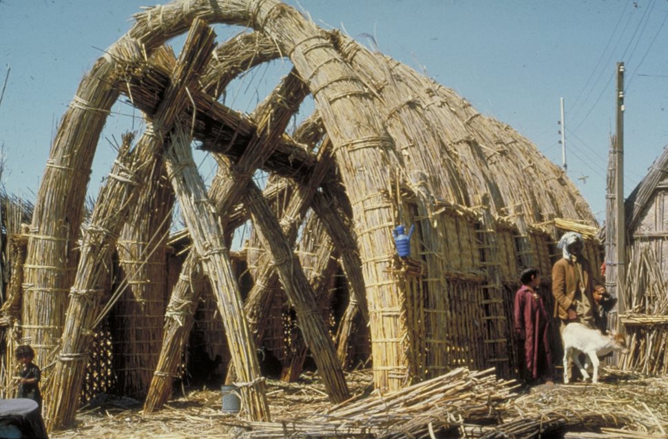 From the gasab reed, which is bundled and flexed to form sturdy arches, the Midan build their ingenious dwellings.