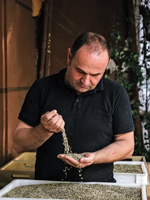 After 20 years in the IT industry, Nikolin Kola left to follow in his brother’s culinary footsteps. Today Nikolin owns Artizani bakery in Tirana. 