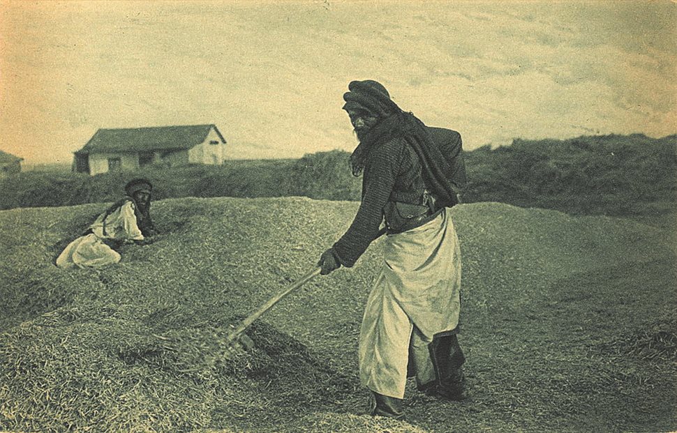 Either Sonia or Schlomo Narinsky, Ukrainian-born photographers in Palestine, photographed this harvest scene, published by the Jamal Brothers in Jerusalem in 1921.&nbsp;