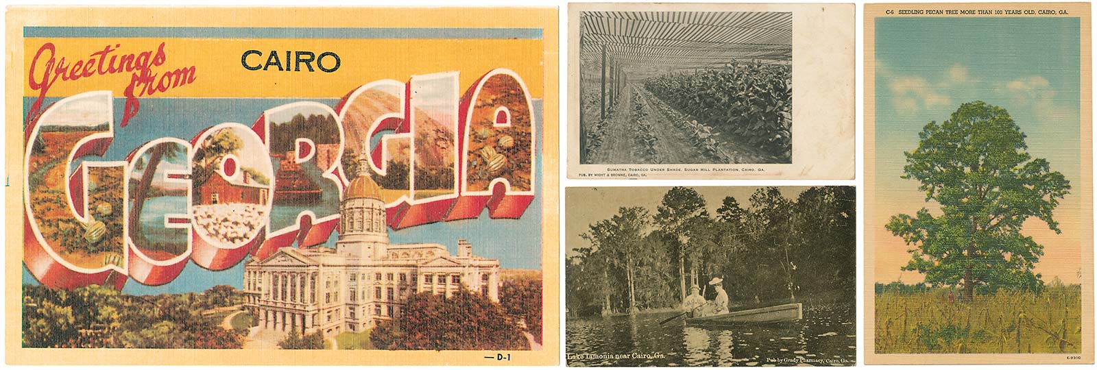 Opposite</b>: Printing a town’s name on a state-focused postcard was common. Pecans, waterways and tobacco appeared on postcards, too. The sender of the card at <b>lower left</b> wrote, “We are having a lot of picnics now. That one at Cairo was exceedingly fine.”