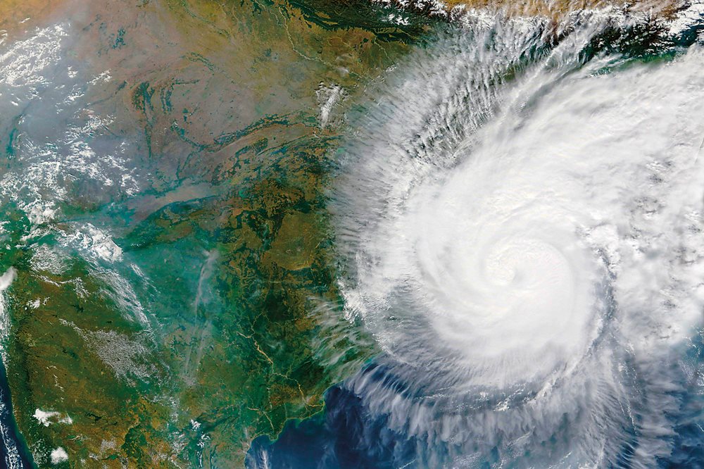 Mangroves can reach 30 feet in height and have strong roots protecting low-lying areas from high seas and winds from storms like Cyclone Bulbul shown over India and Bangladesh in November 2019.
