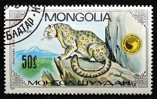 The Snow Leopard Trust lists Mongolia as home to the second-largest population of snow leopards at an estimated 500&ndash;1,000.