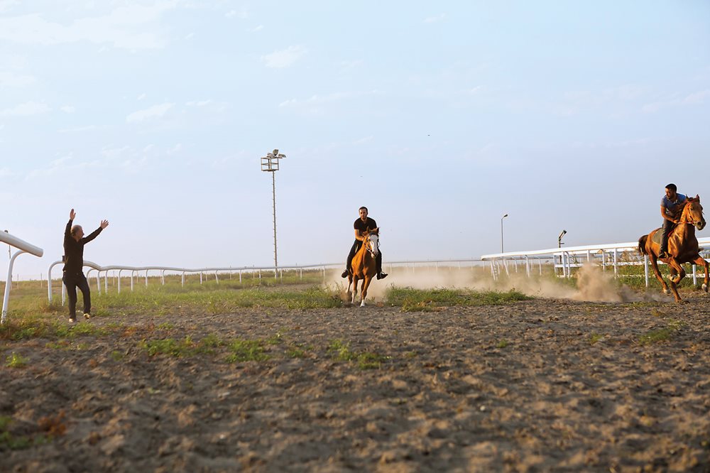 Stable workers exercise horses Siyazam, at center, and Qalam, at right, in Agjabedi. According to the Karabakh Foundation, Karabakhs can be very fast: In 2004 a Karabakh named Kishmish set two speed records by running 1,000 meters in 1 minute 9 seconds and 1,600 meters in 1 minute 52 seconds. lower Getting a kiss while guiding the stallion named şafron back into his stable, trainer Panah Allahverdiyev says that since he was a child he wanted to work with horses, and now he trains others to ride and care for the horse.