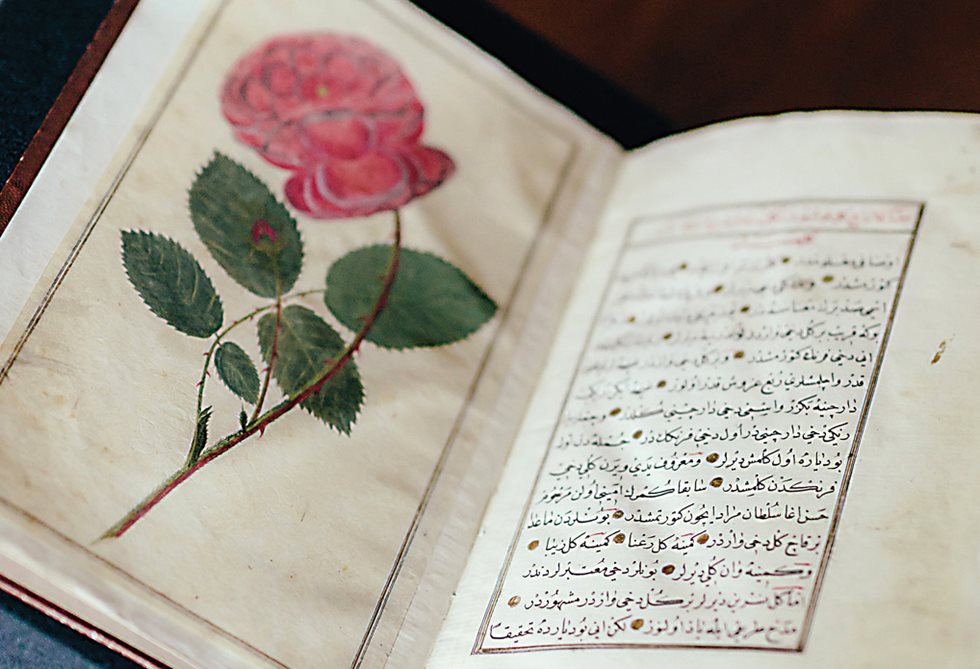 Also among the collection of handwritten books is this artful Şükûfe-nâme (Flower Book), in which illustrations of flowers are pasted in.