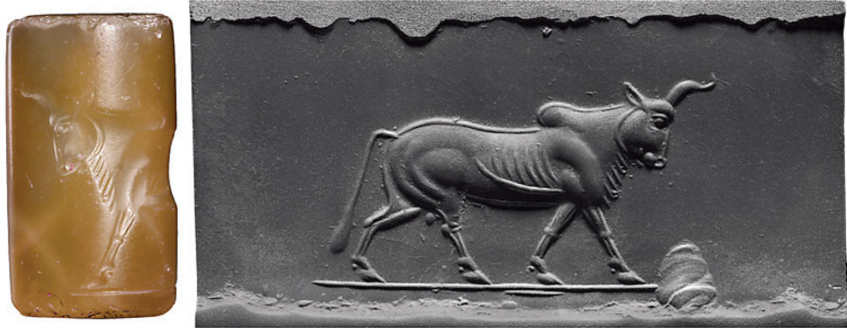 A seal made from chalcedony, 2.5 centimeter tall, shows a delicately formed striding bull. It dates from 499 to 400 BCE, which led Porada to observe it “recalls Greek gems” of the same period “in its exquisite engraving and spacious background.” To Babcock this prompts speculation about not only possible Greek influence but also the further possibility that this seal’s sculptor may have been Greek, perhaps living in captivity. 