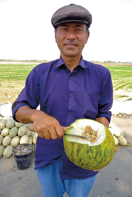 <p>Along the road between Tashkent and Samarkand, melon salesman Mirza Baxodir offers passersby samples of one of his Obinavat melons at his stall at the Sirdaryo bazaar. &ldquo;Anyone accustomed to this fruit in Europe,&rdquo; wrote Capt. Frederick Burnaby in 1876, &ldquo;would scarcely recognize its relationship with the delicate and highly perfumed melons of Khiva.&quot;</p>

