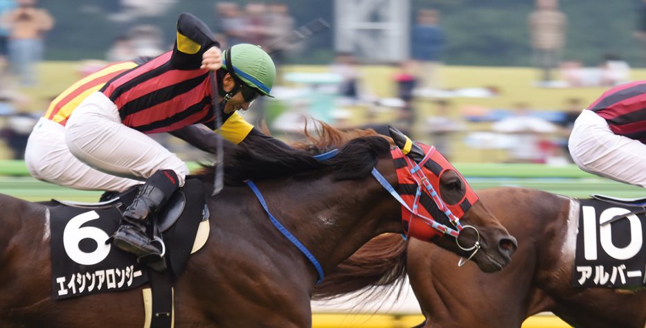 <p>Straining at the finish, a jockey whips the shoulder of his thoroughbred mount.</p>
