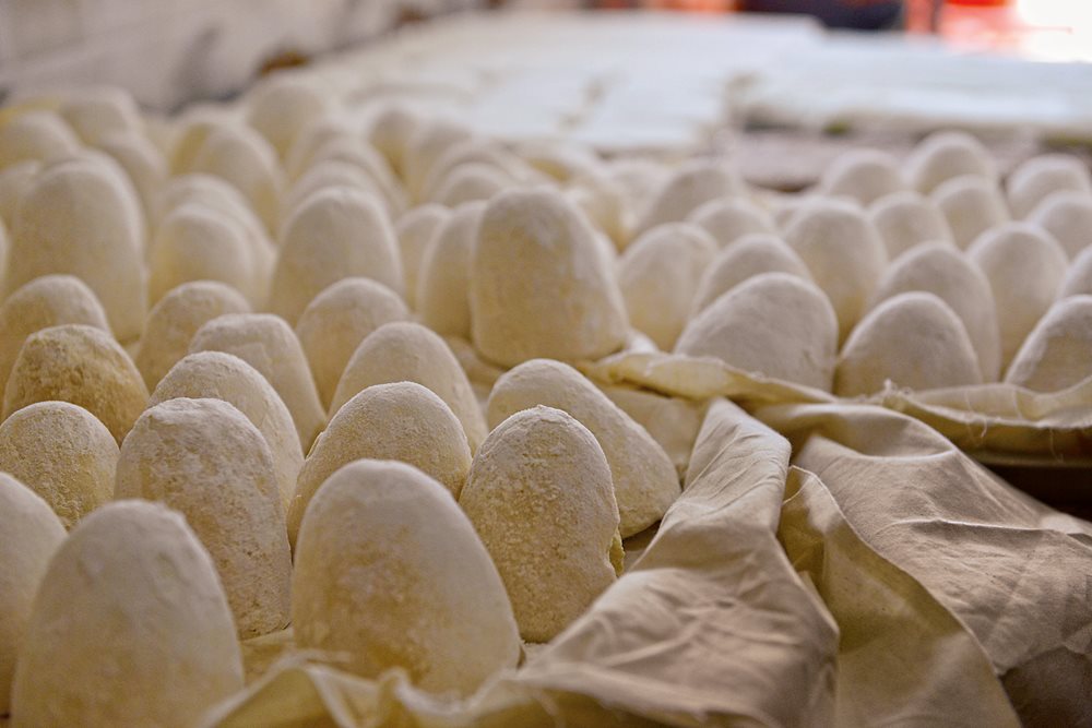 Jameed is made from sheep, or goat milk, thickened through fermentation into a yogurt dense enough to shape into egg-shaped balls. These are ready to be dried. If this is done in shade, the jameed will be white; if it is dried in the sun, it will take on a yellow cast.